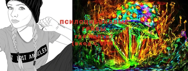 шишки Санкт-Петербург