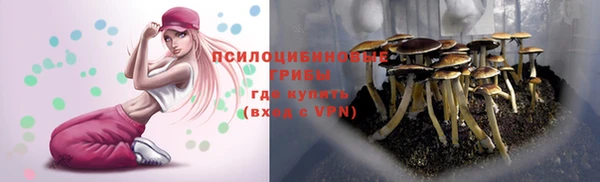 шишки Санкт-Петербург
