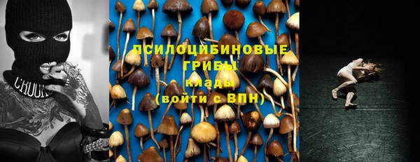 шишки Санкт-Петербург